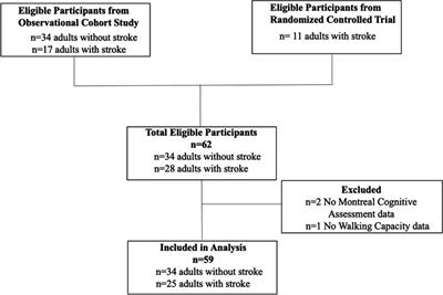 The association between global cognitive function and walking capacity in individuals with broad ranges of cognitive and physical function: Are there sex differences?
